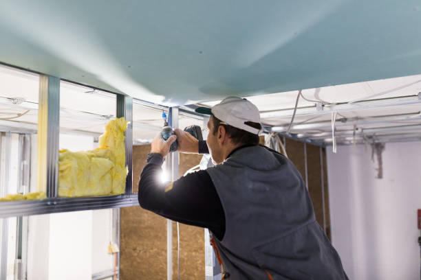 Best Types of Insulation in USA